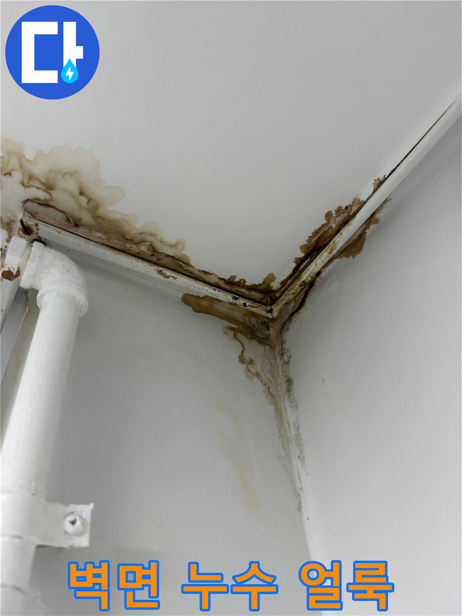 천장 모서리 부분의 심한 오염과 변색