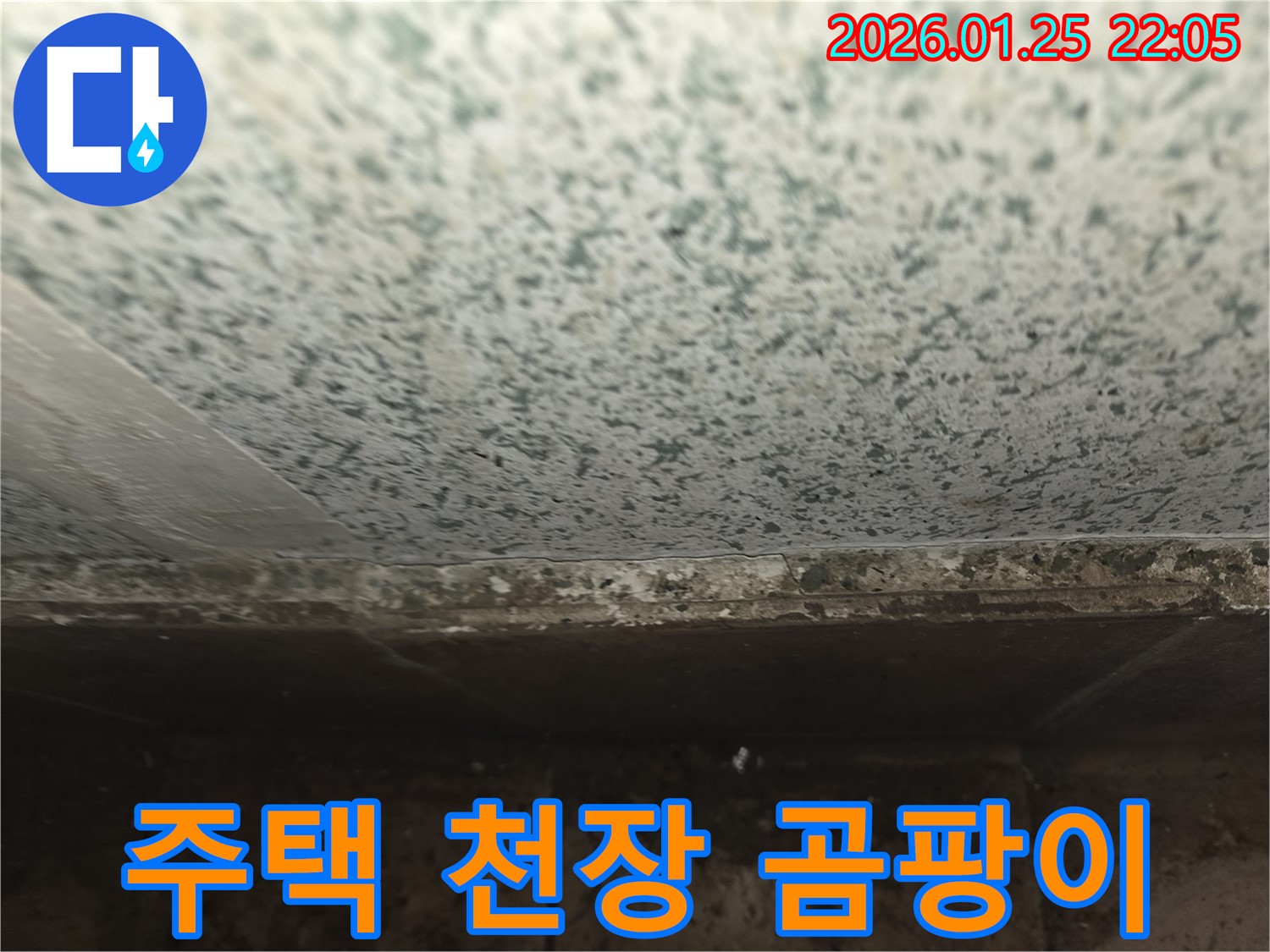 용인 모현 주택 천장 누수 - 곰팡이 문제 해결 성공 사례