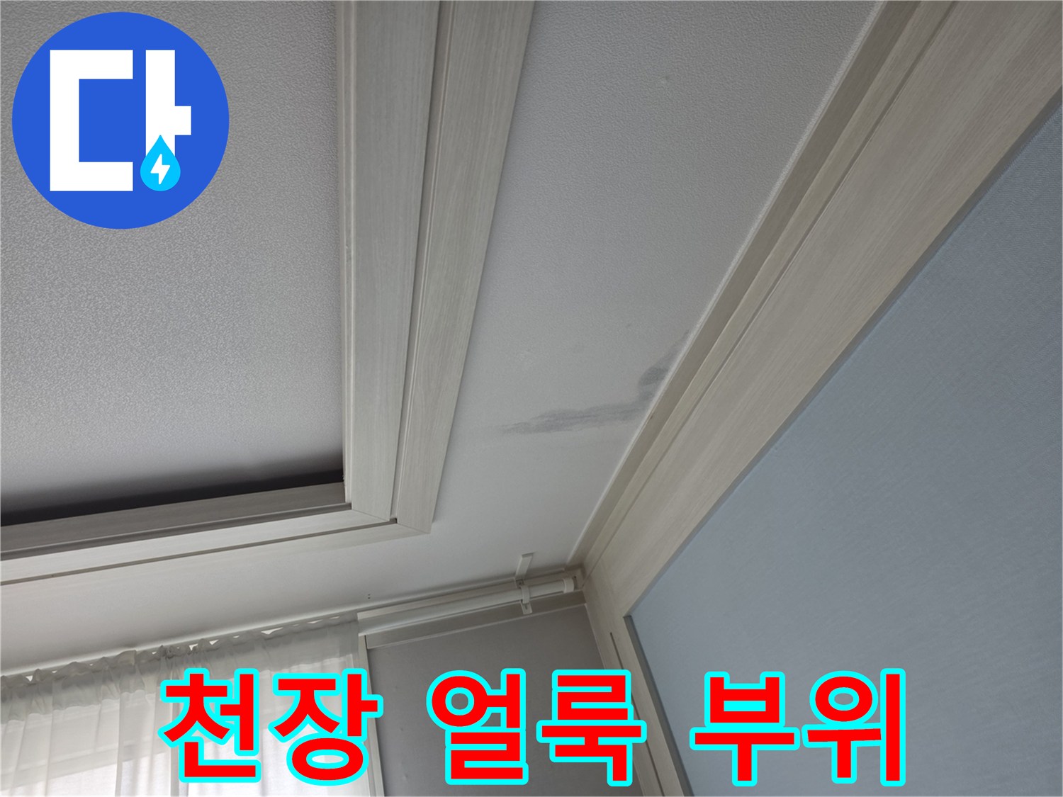 천장-면의-축축하게-젖은-흔적