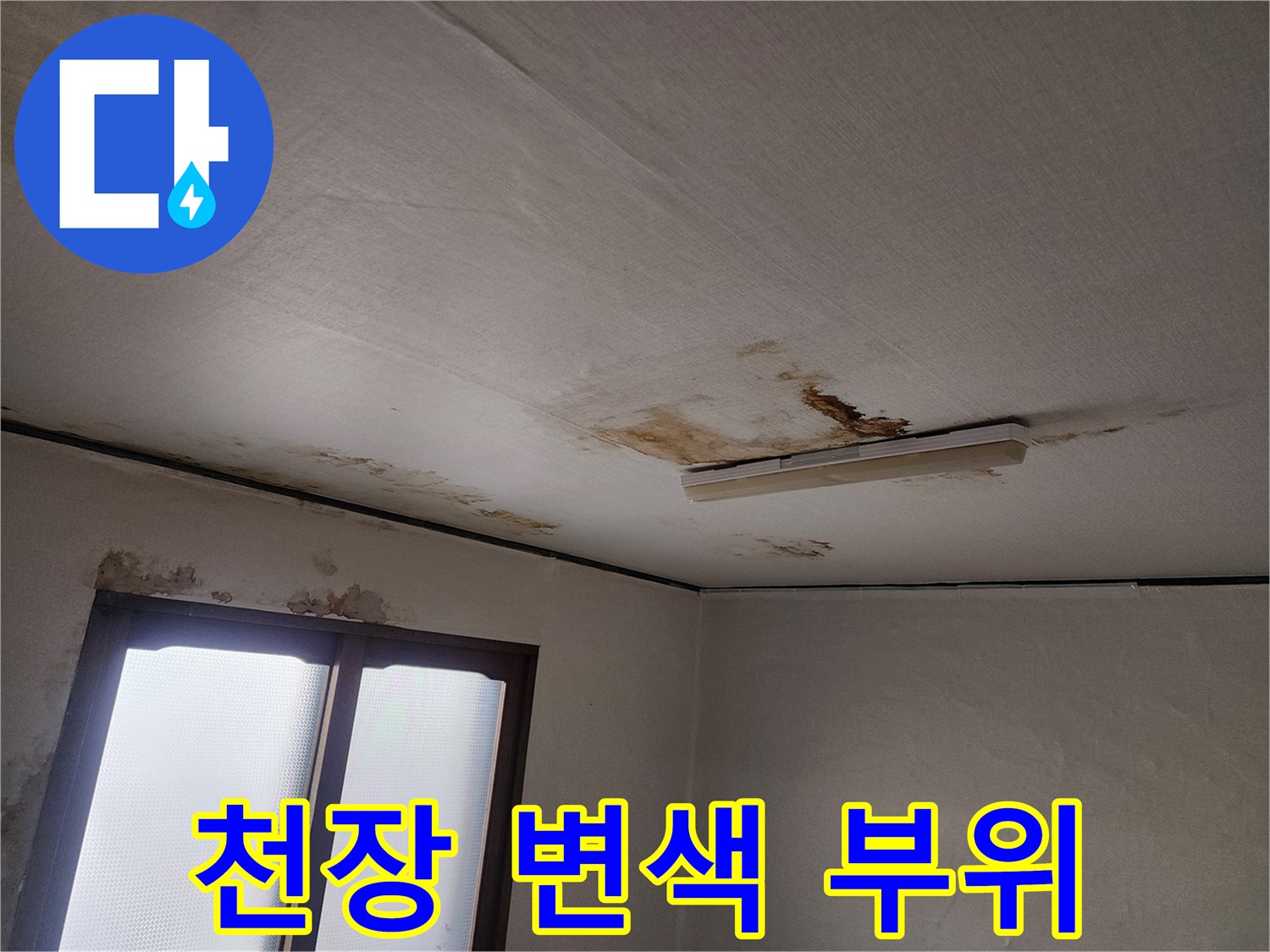 거실-천장-벽지-주변의-젖은-흔적과-얼룩
