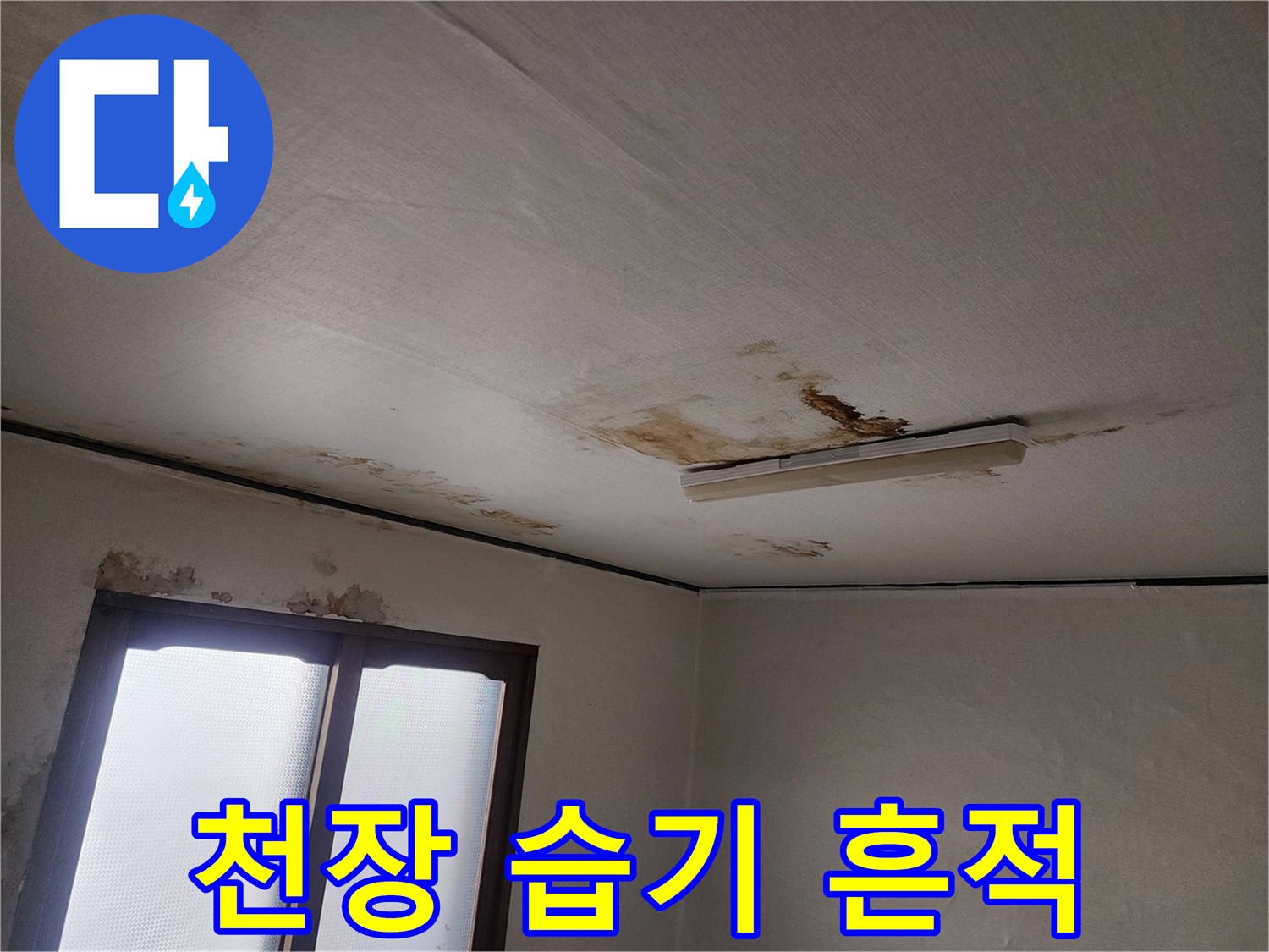 천장-벽지-가장자리의-젖은-부위와-얼룩
