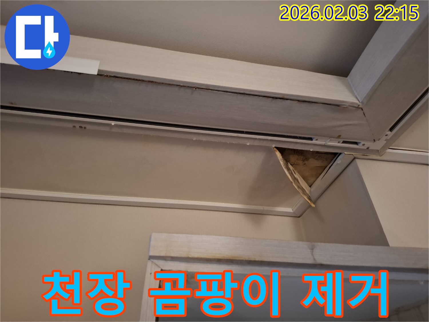 천장 곰팡이 제거 - 건강 위협 제거