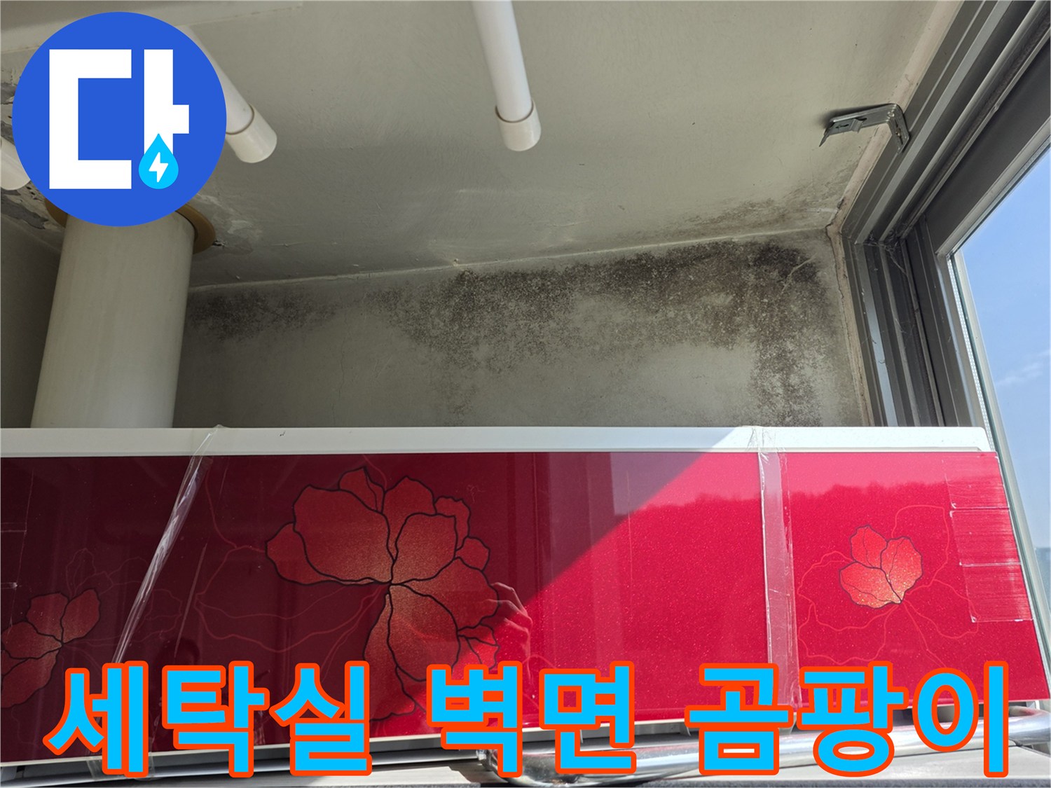 누수 흔적-세탁실 천장 하단부의 곰팡이 오염