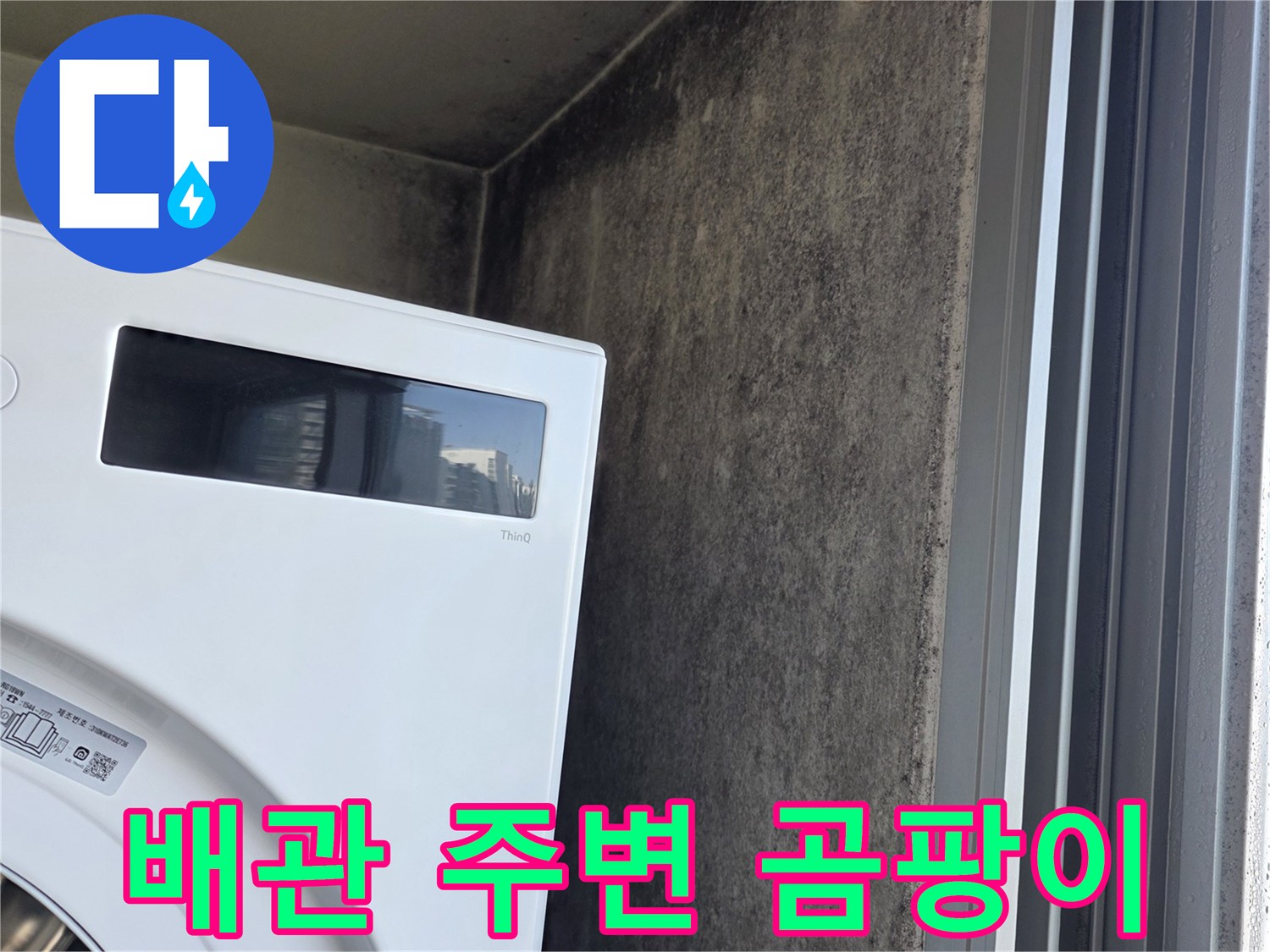 세탁기-뒤쪽-벽면의-심한-곰팡이-오염