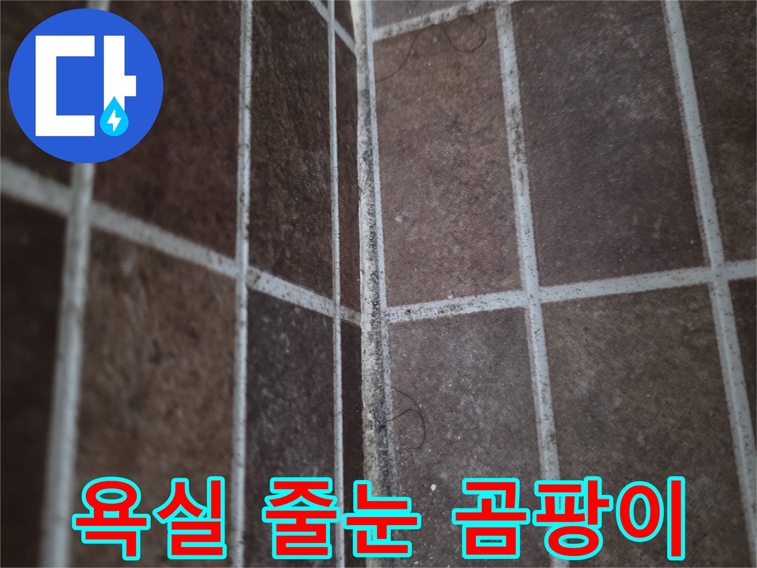 타일-줄눈-사이의-곰팡이와-물때-흔적