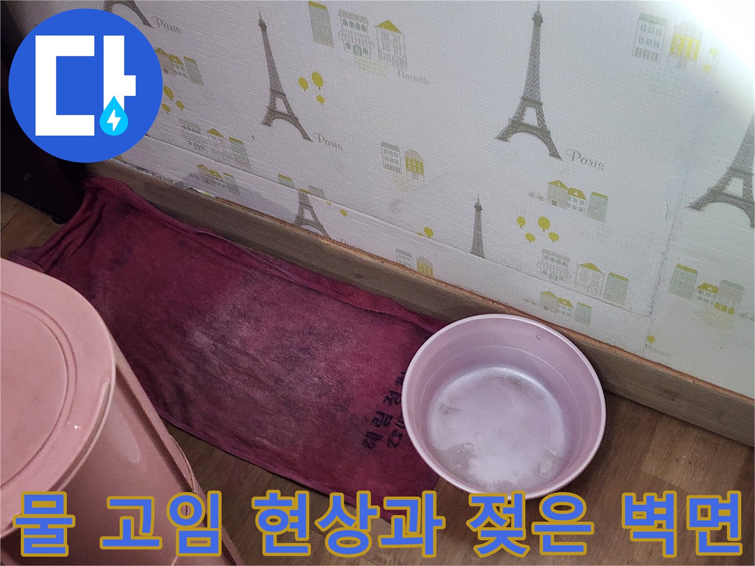 물받이용 대야와 습한 바닥 환경