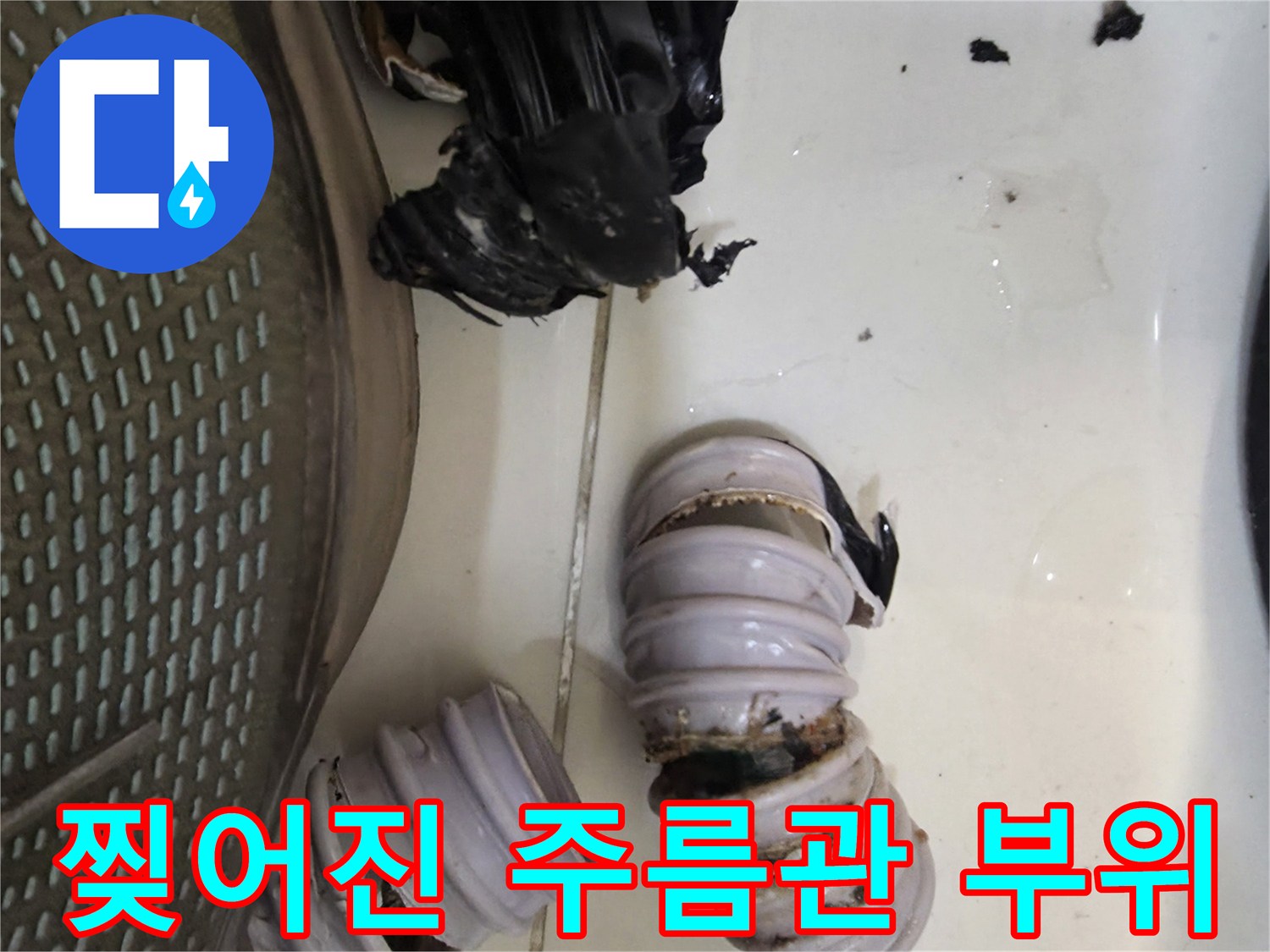 하수구-주름관-훼손-및-배수관-부식-상태
