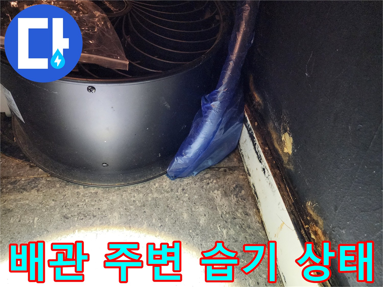 파란색-주름관-및-바닥-배관-주변의-습기