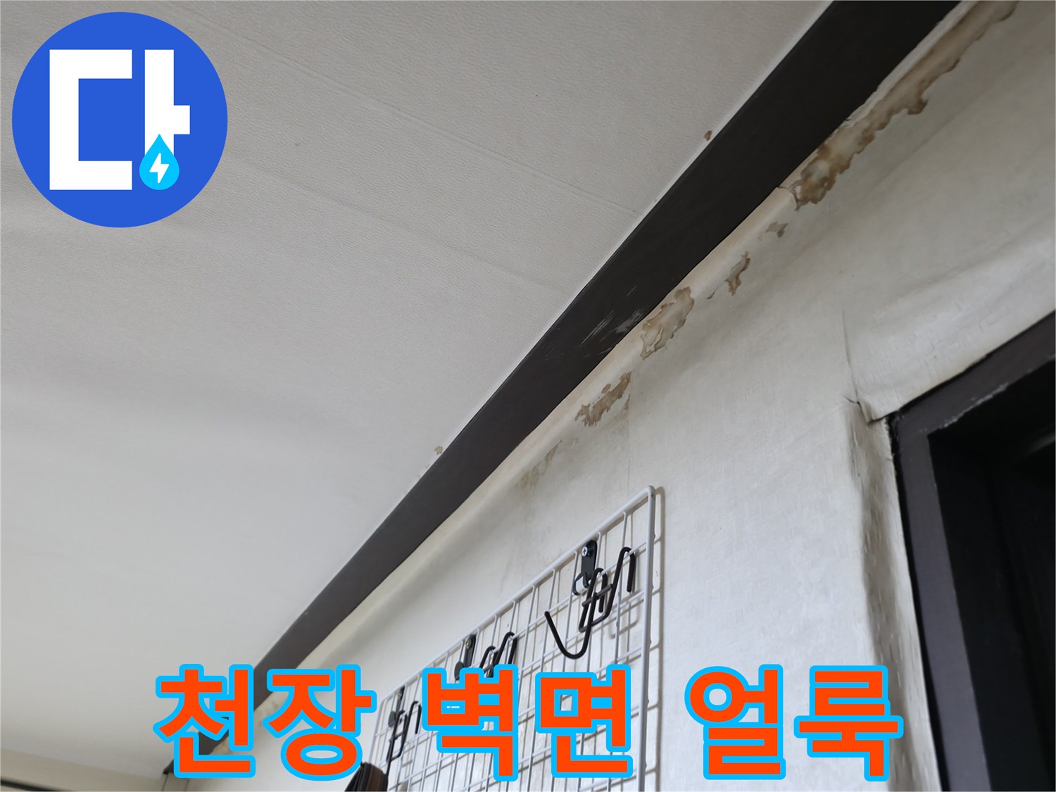 천장-몰딩-주변의-물얼룩-상태