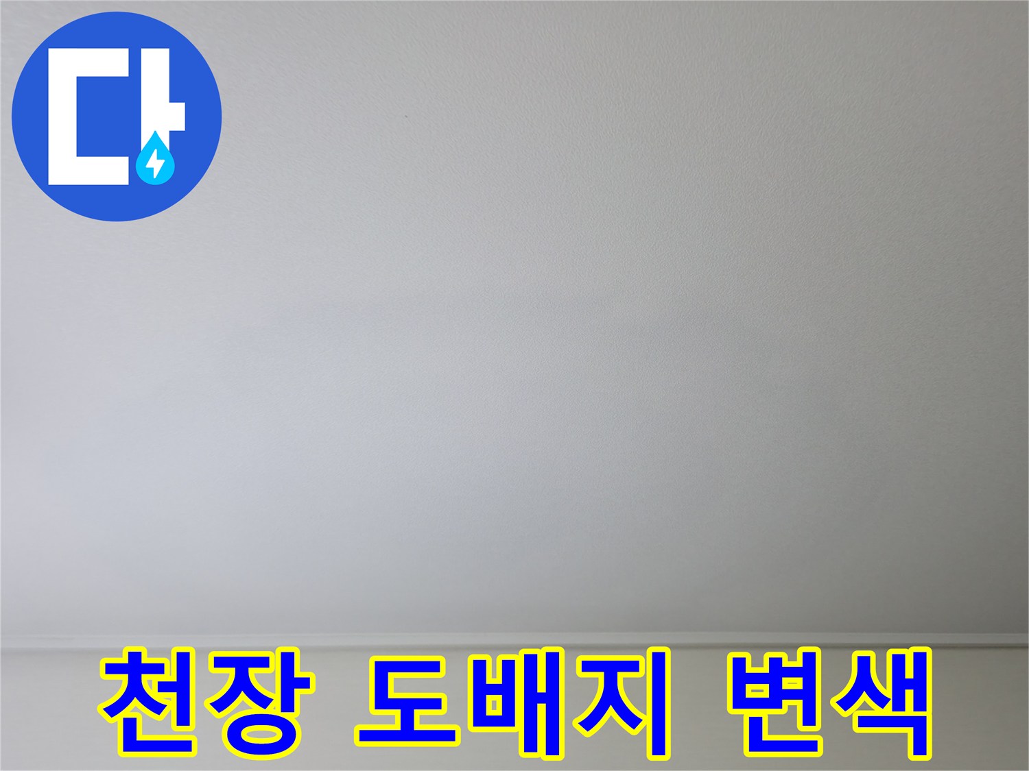 천장 도배지가 젖어 변색된 모습