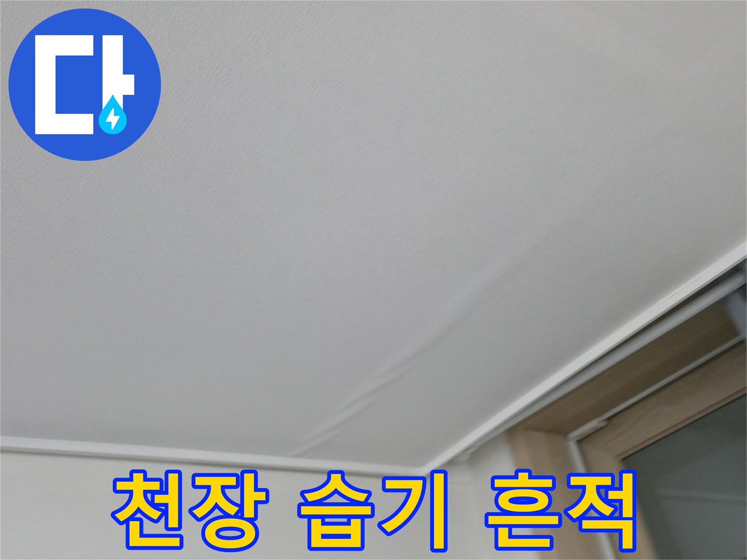 천장 몰딩 부근의 젖은 벽지와 습기 침투 상태