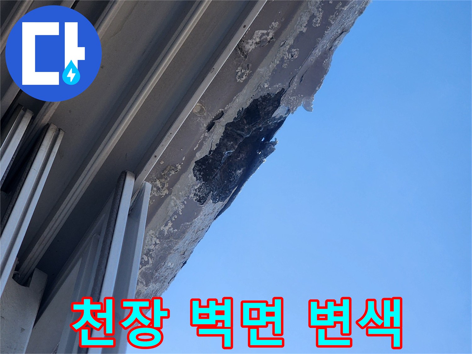 습기로 인해 검게 변색된 천장 마감재 부위