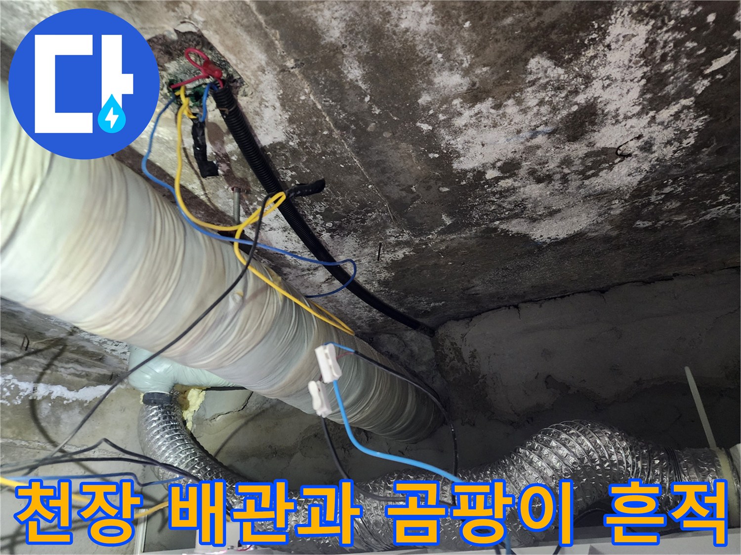 화장실-천장-내부-배관-및-오염-상태