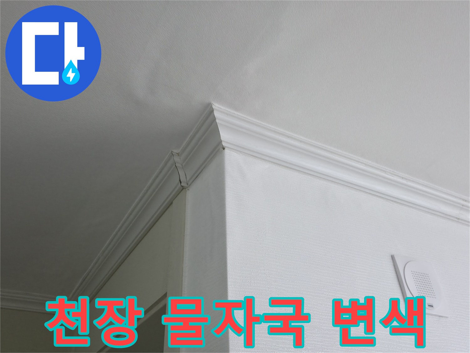 화장실 입구-천장 몰딩 부위의 누수 흔적
