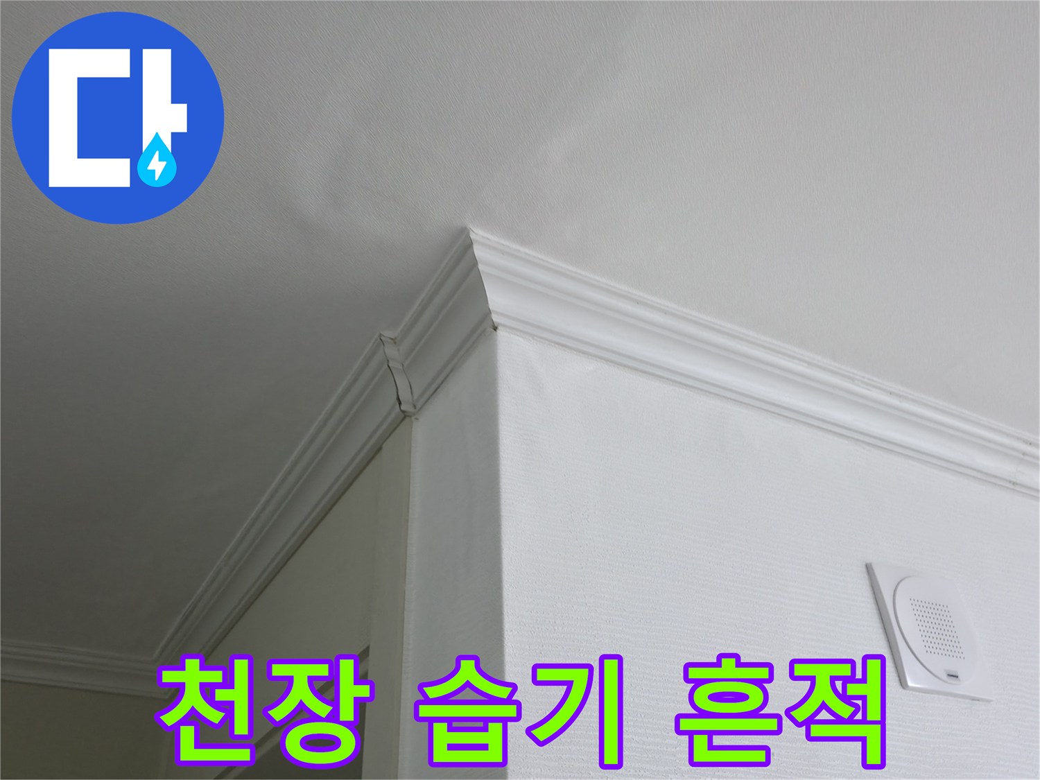화장실 입구-천장 몰딩 주변의 젖은 자국