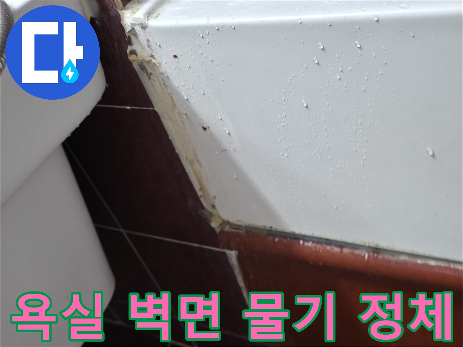 양주 백석읍-타일 줄눈 사이의 습기 침투 흔적