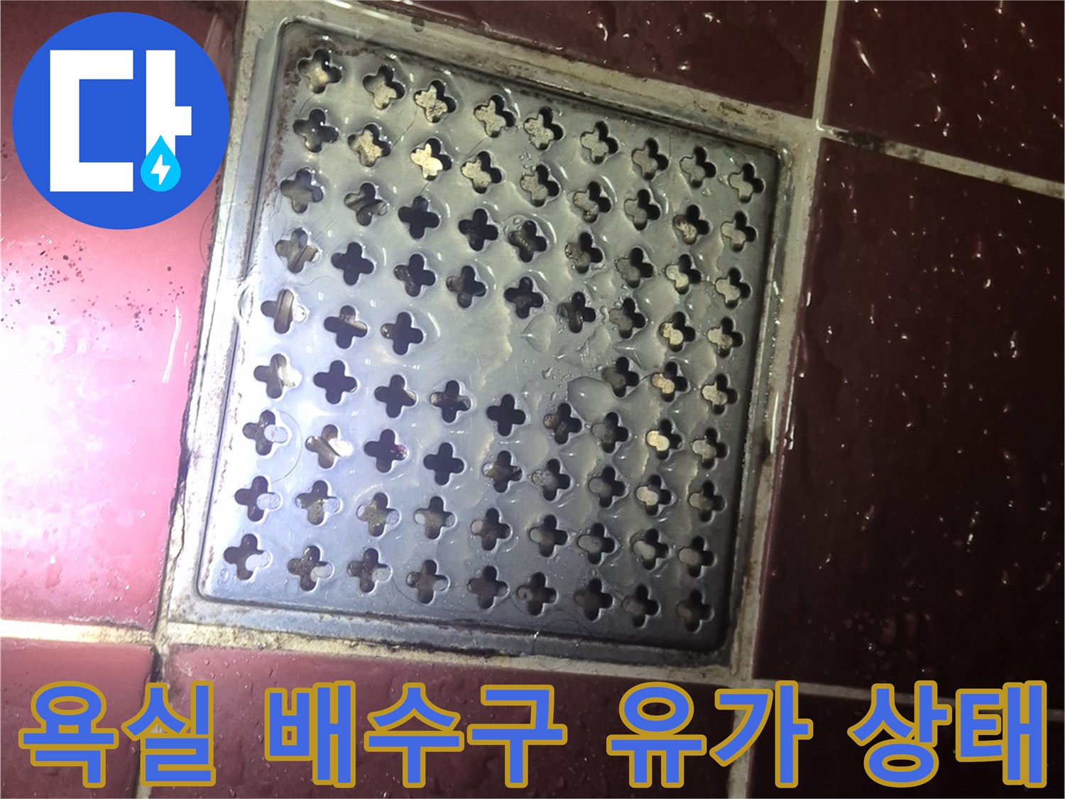 양주 백석읍 화장실-배수구 유가 주변 타일 상태