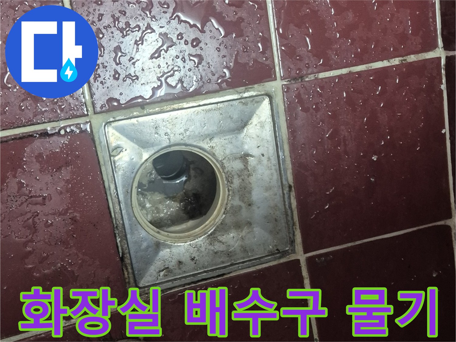 양주 백석읍 화장실 배수구 주변의 젖은 타일 상태