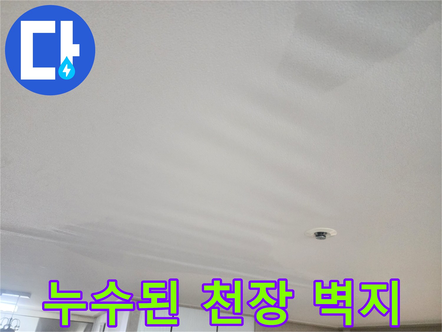 동대문구-거실-천장-누수-흔적-촬영