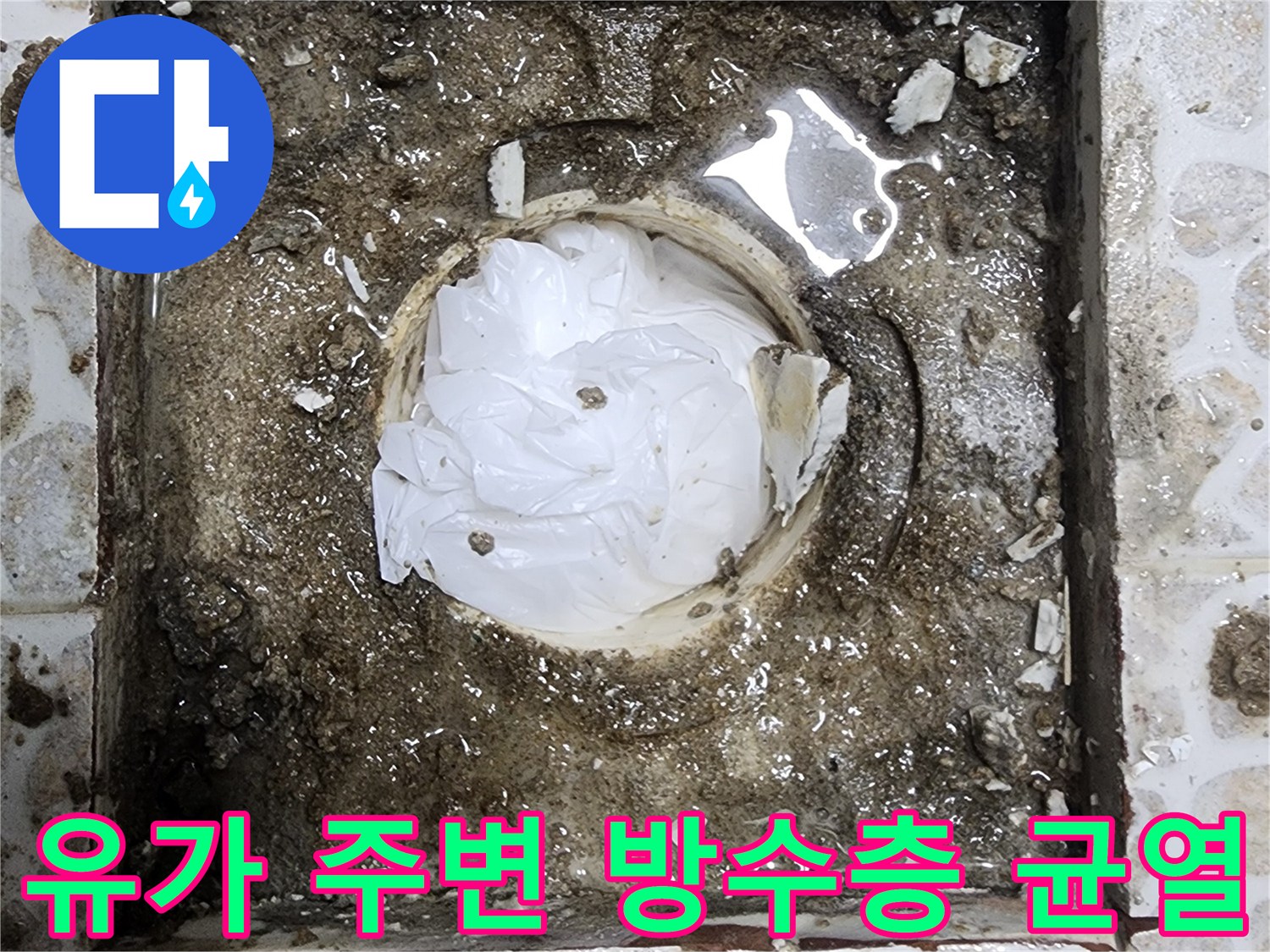 화장실-배수구-유가-주변-방수층-균열-사진
