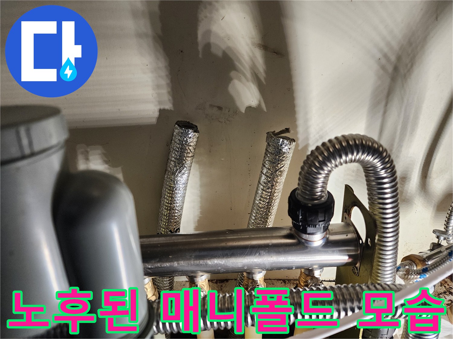 푸른 부식물이 나타난 - 분배기 연결 구간