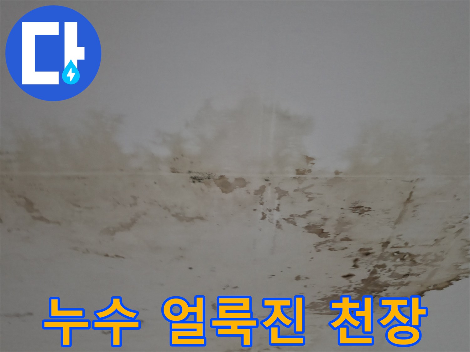 강남구 아파트-천장 누수 흔적 및 오염 부위