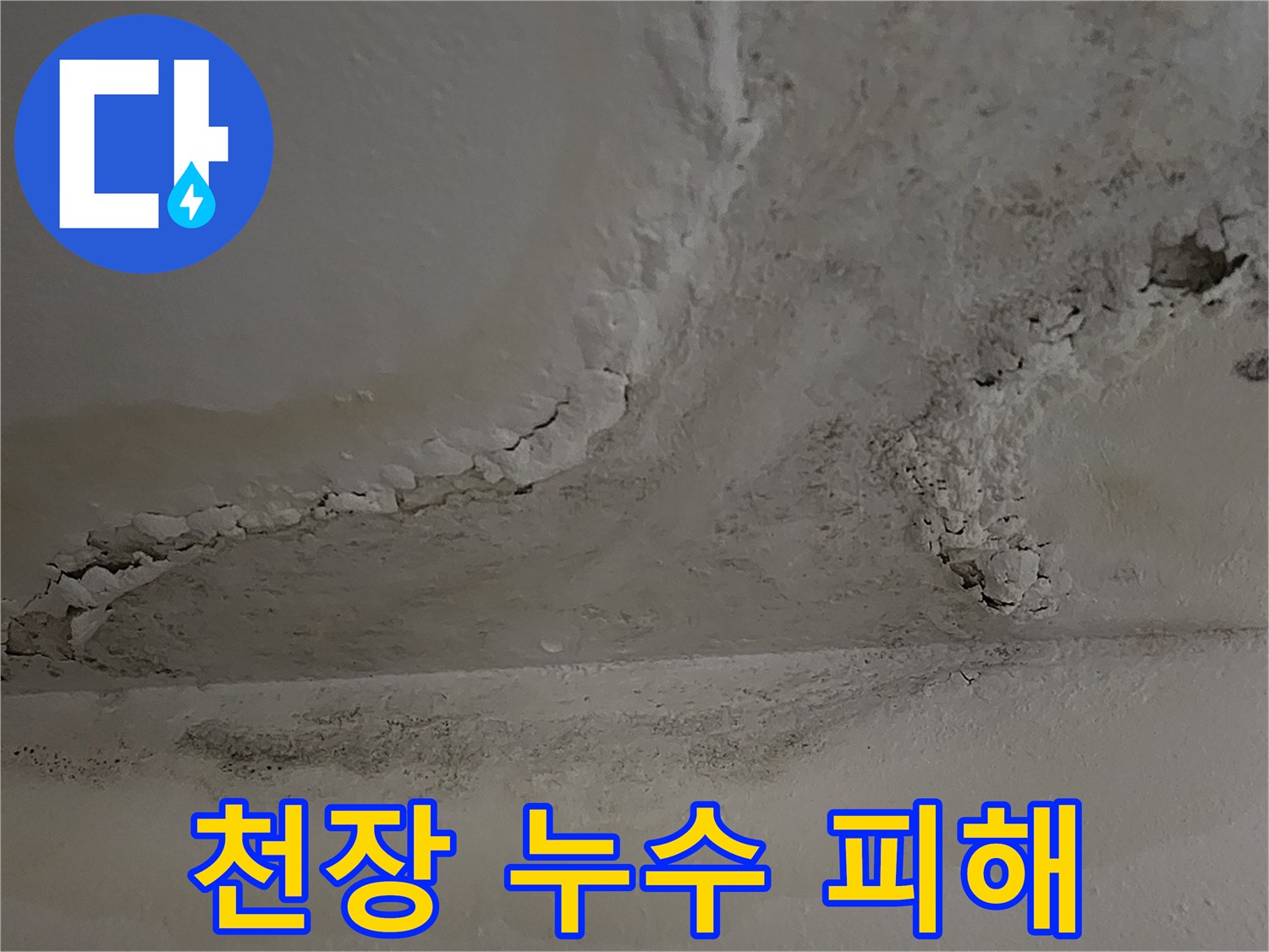 하얀색-백화현상이-심한-천장-상태