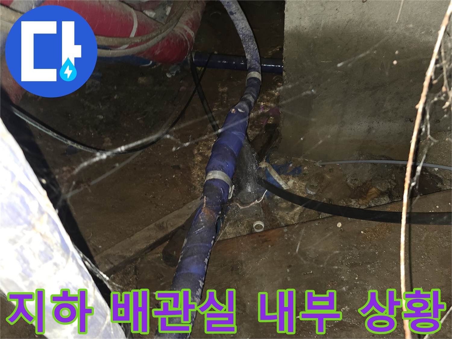 복잡하게 얽힌 지하 배관의 누수 흔적 확인