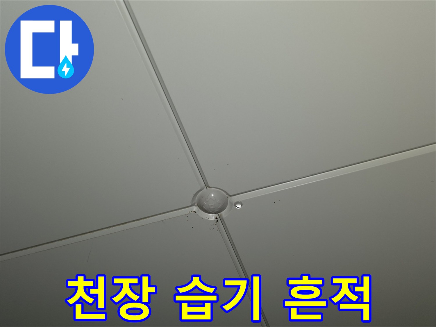 천장-마감재-사이-물샘-흔적-확인