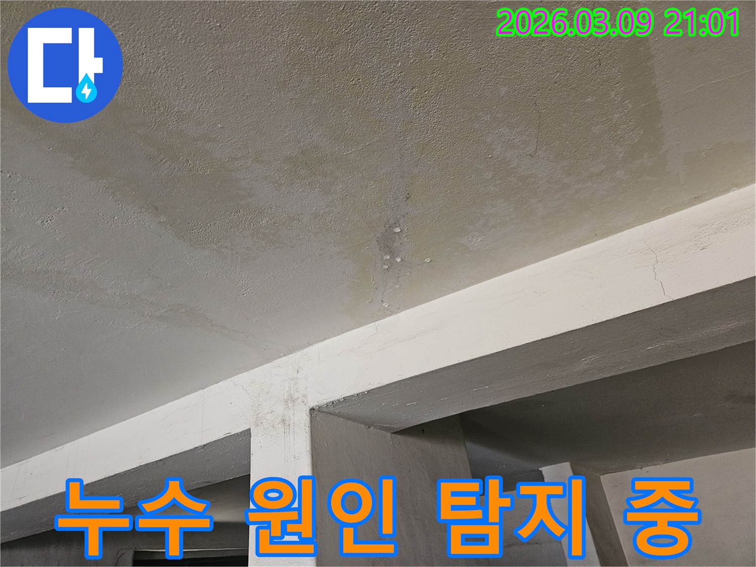 콘크리트 천장에서-물이 새어-얼룩지고-물방울이 맺힌-누수 현장을-엔지니어가-탐지하는-모습입니다.