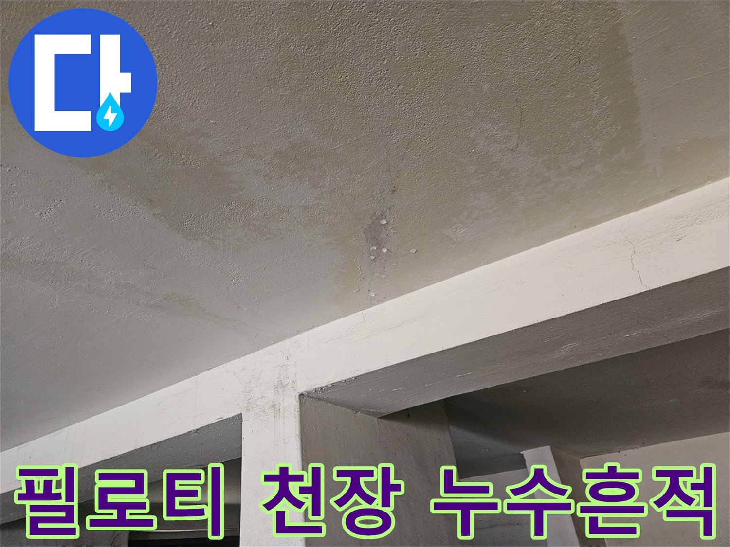 필로티 구조 주차장-천장 슬래브의 넓은 습기 분포 상태