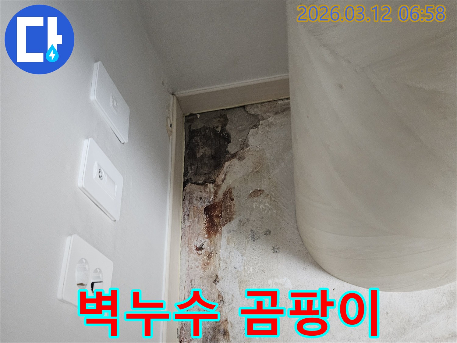 벽면-누수-흔적-곰팡이-발생-현장-사진