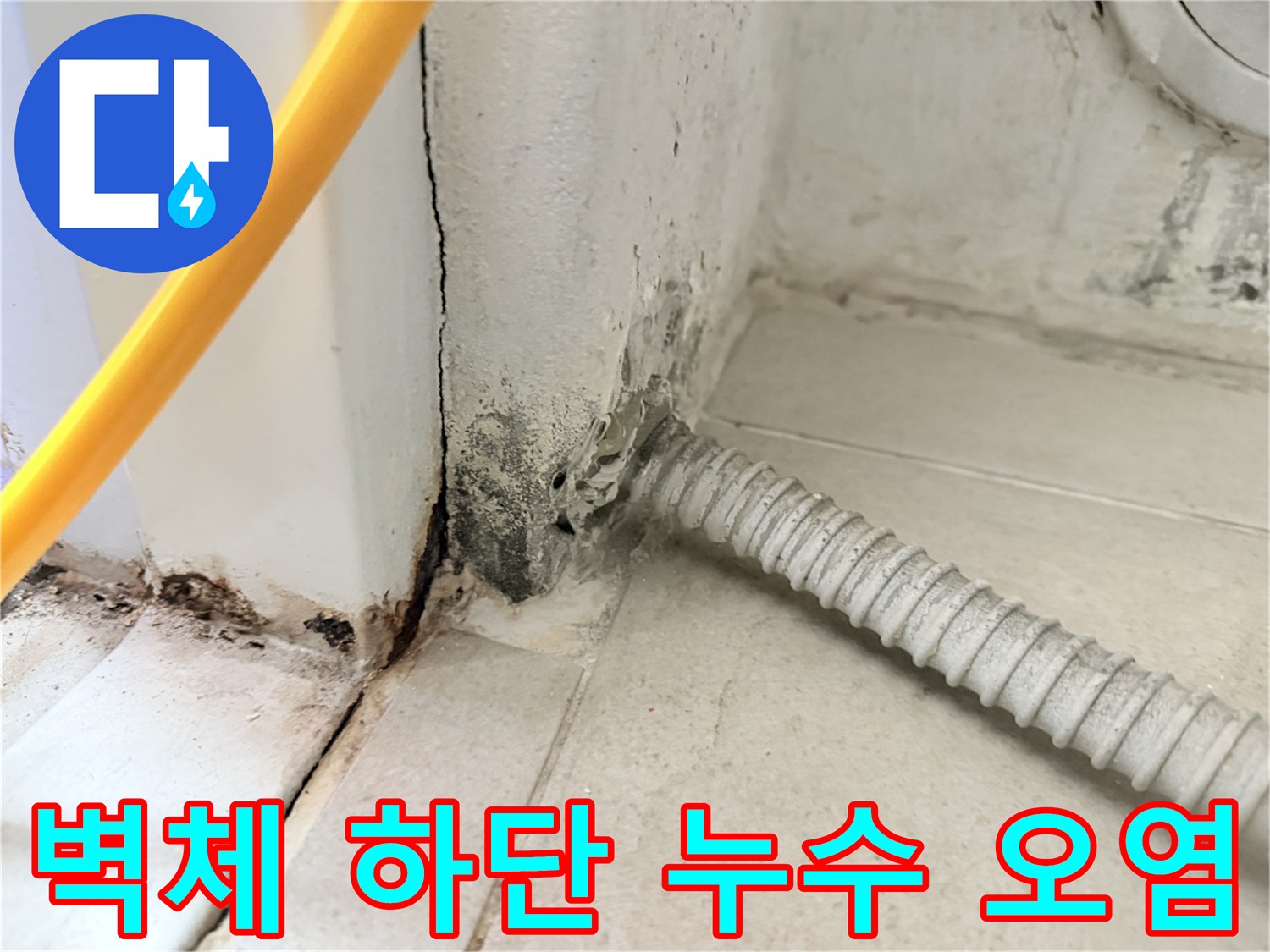 벽체-하단부의-습기와-검은색-곰팡이-오염