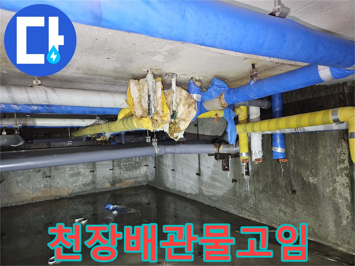 습기가-가득한-지하층-천장-배관-및-바닥-상태