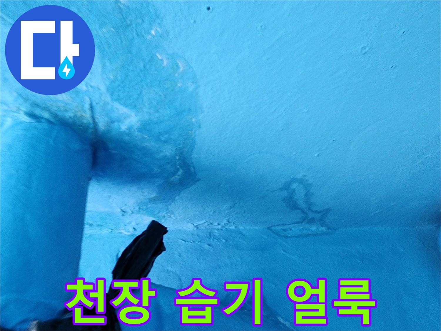 축축하게-젖은-천장-마감재의-상태-사진