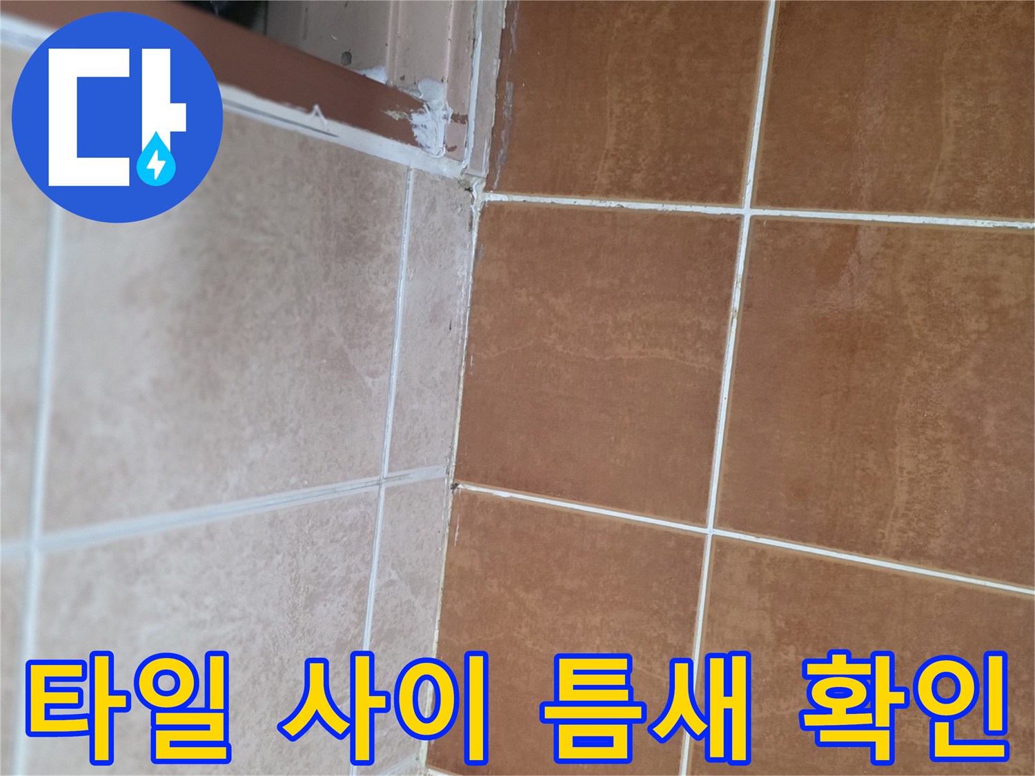 욕실-바닥-타일-사이-벌어진-틈새