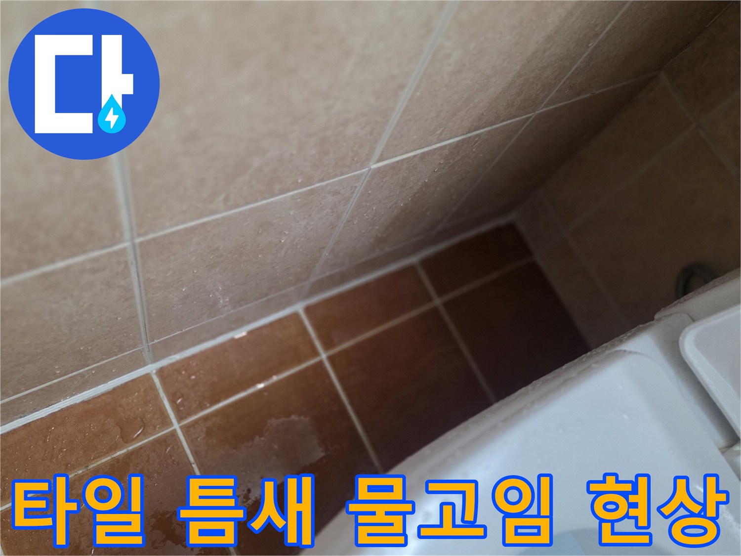 욕실-타일-경계-부위의-축축한-물기-상태