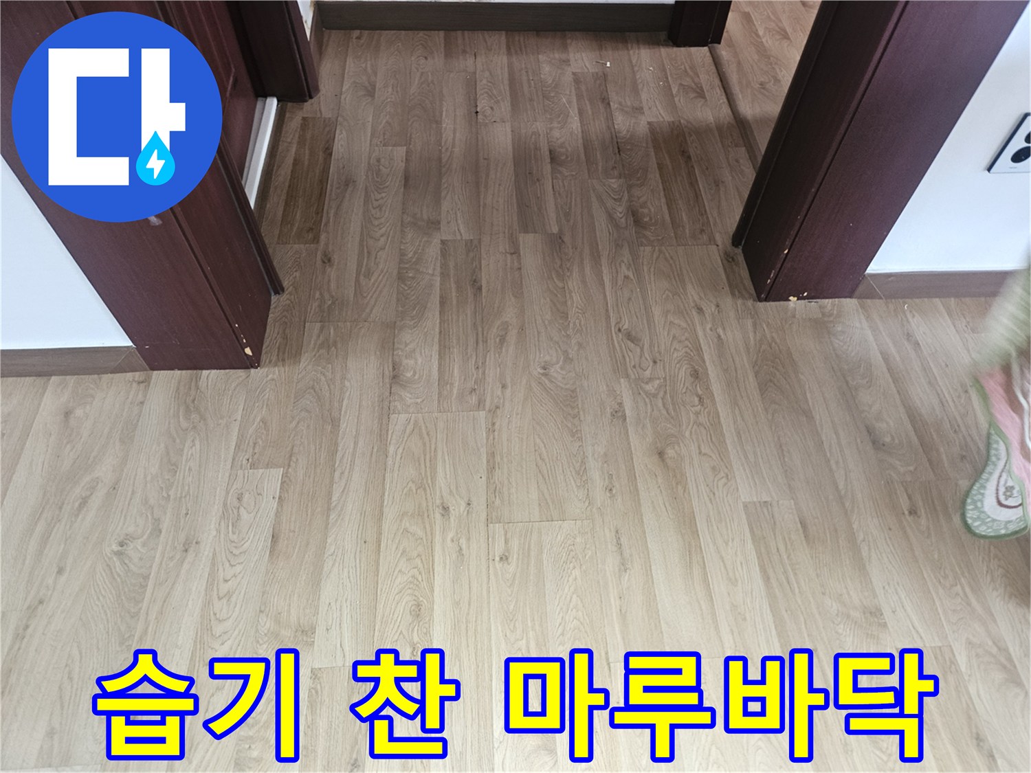 물기가 배어 나온-강마루 바닥재 상태