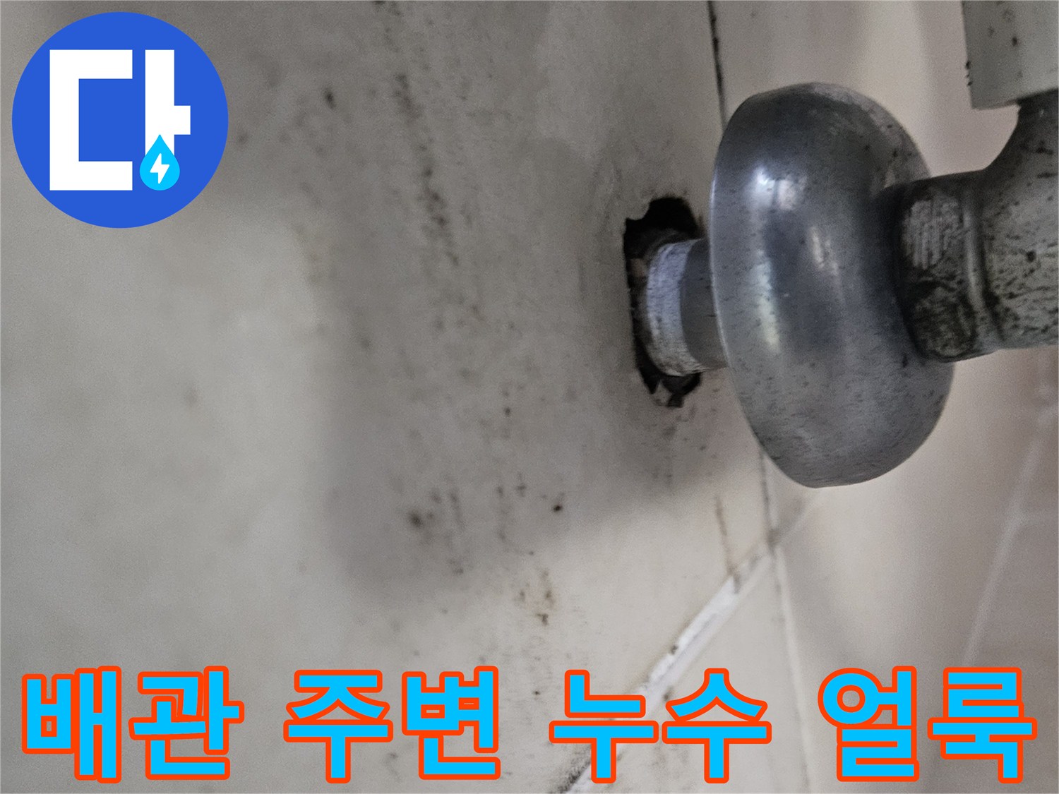 습기로 인해 변색된 천장 마감재와 배관