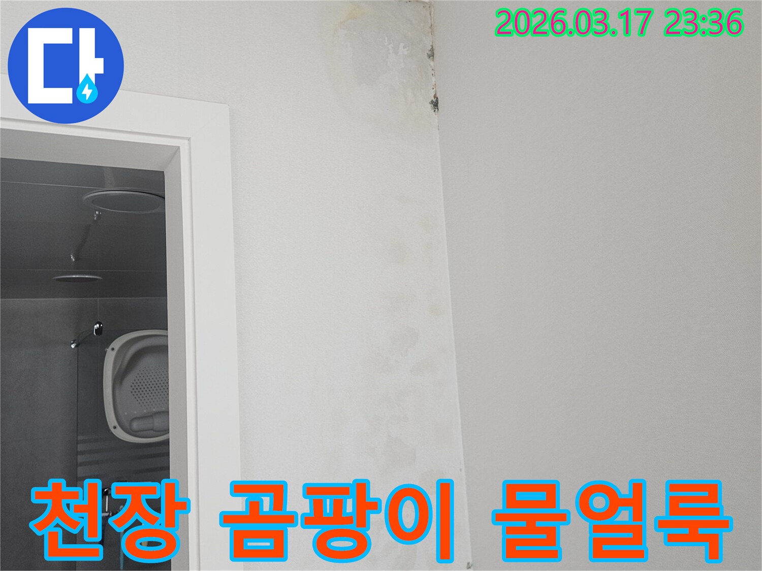 천장-모서리에-발생한-곰팡이와-물-얼룩-확인
