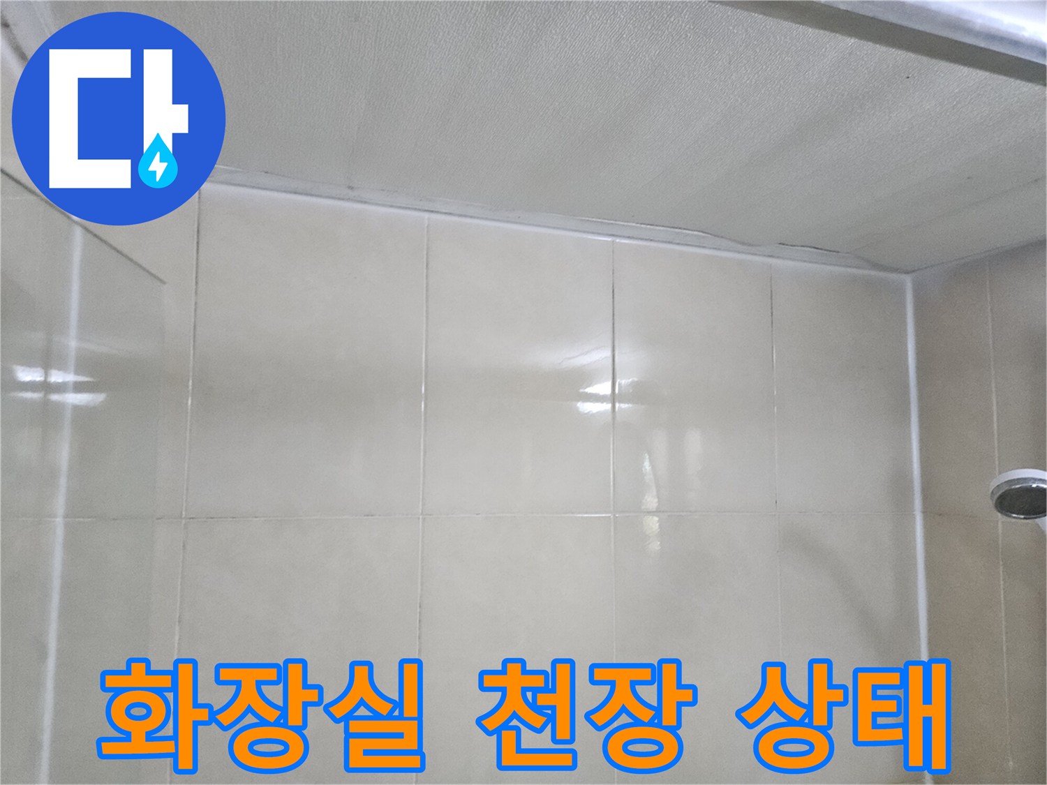 화장실-천장-면-상태-확인