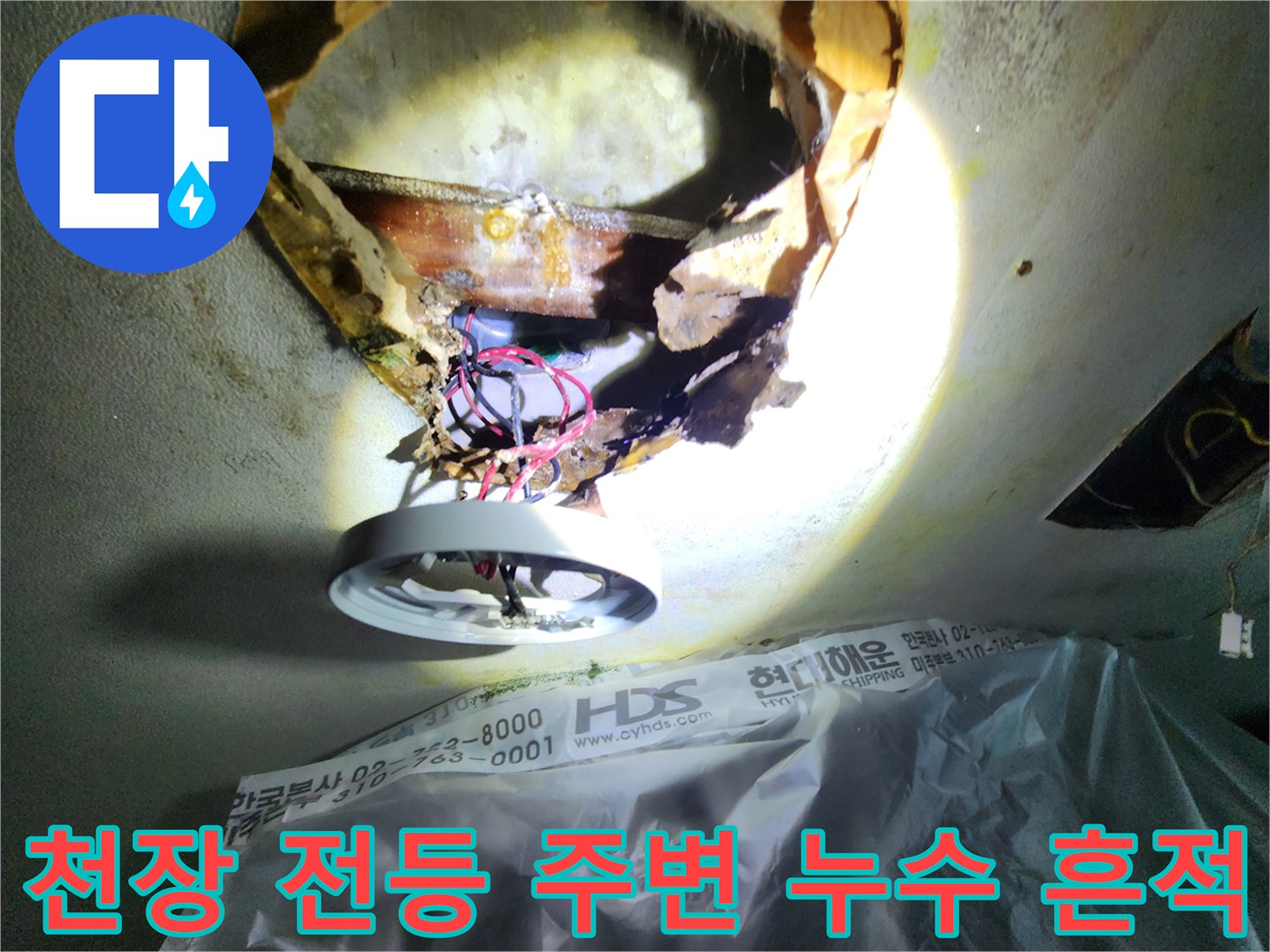 분당 정자동 아파트 천장 전내부 물샘 흔적 확인