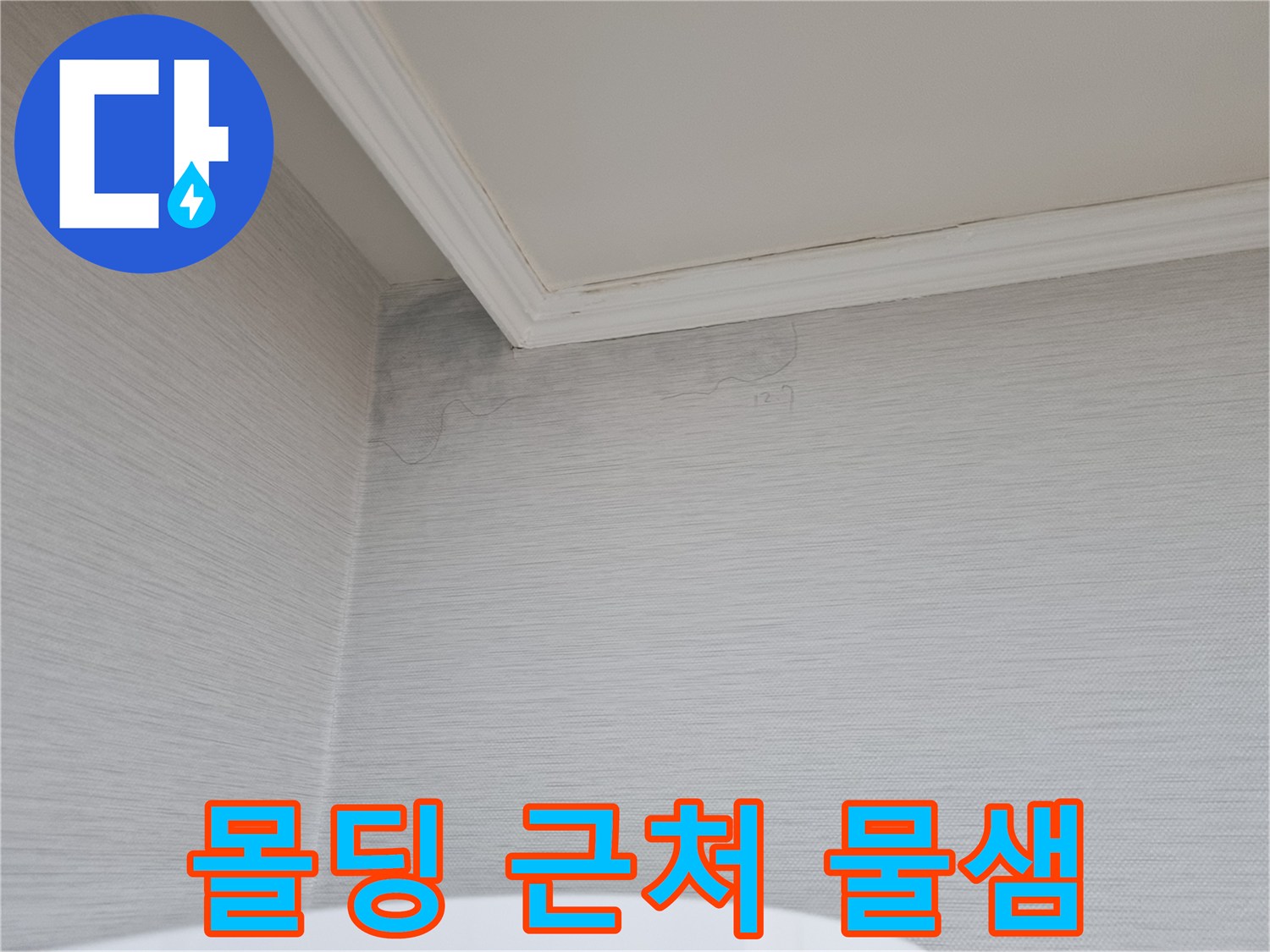 천장-몰딩-및-벽지-오염-부위