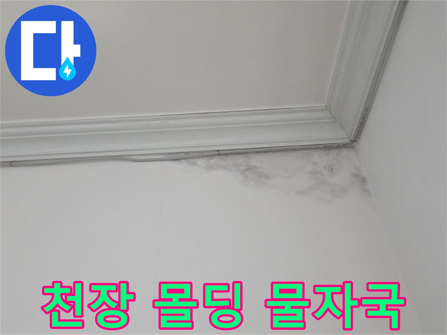 몰딩-주변의-물샘-및-벽지-젖음-사진