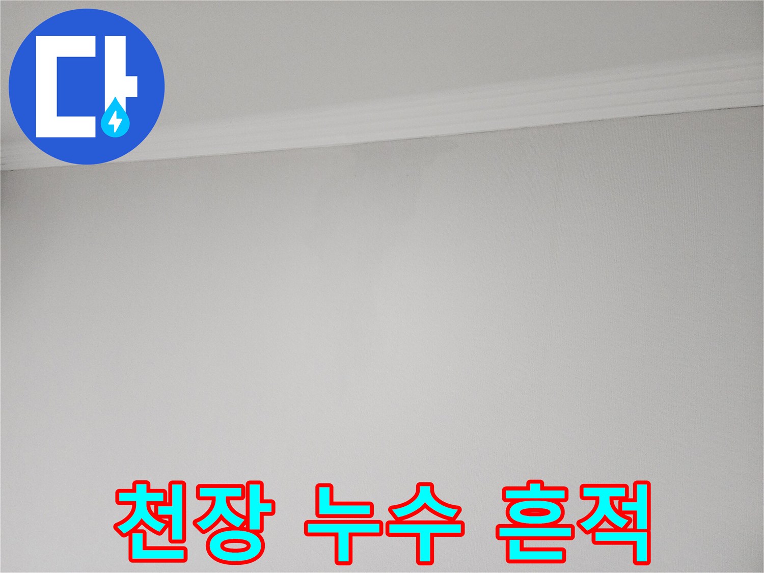 물샘 증상이 나타난-천장 모서리 부근