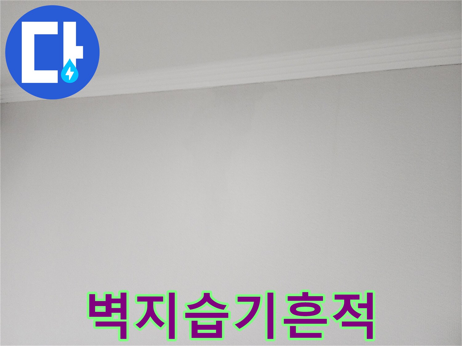 천장-몰딩-부근-벽지-젖음-현황-모습
