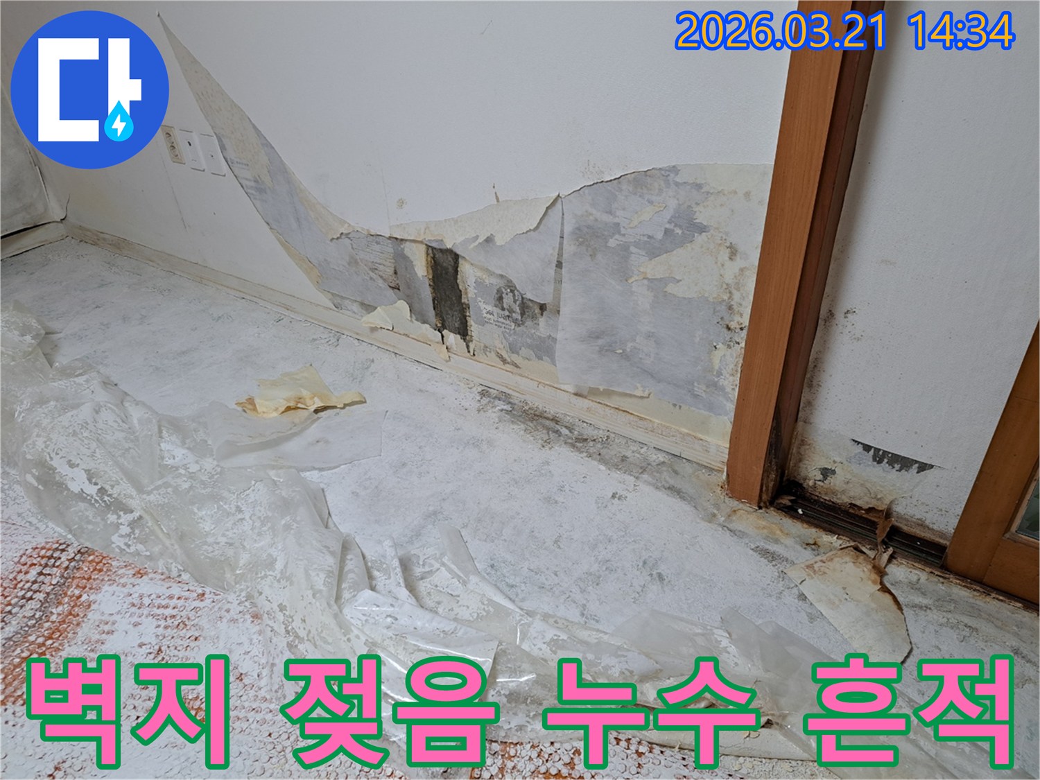 벽지-손상과-곰팡이-발생-누수-피해-현장-사진