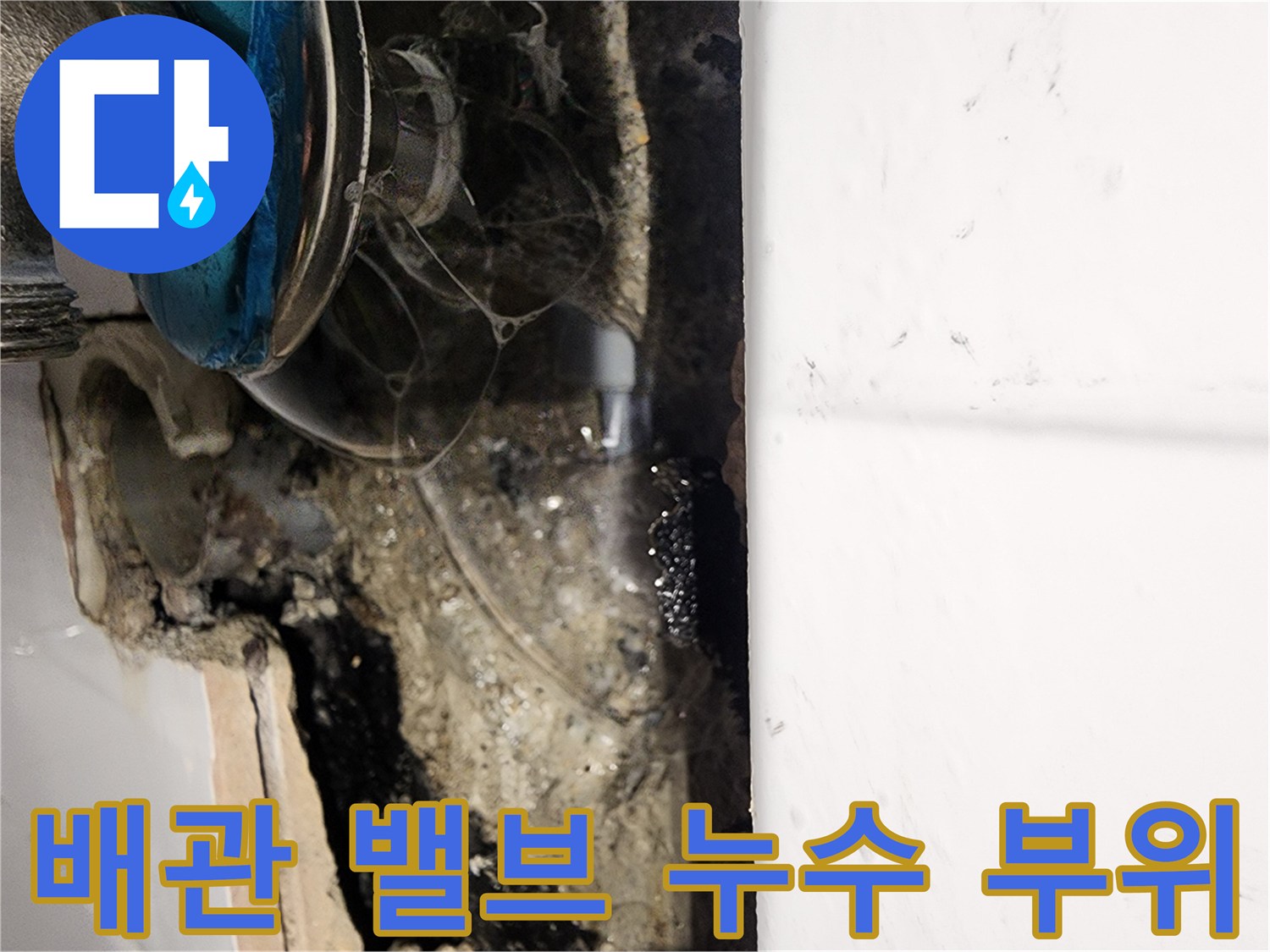 타일 파쇄 후 - 노출된 배관 및 밸브의 누수 상태