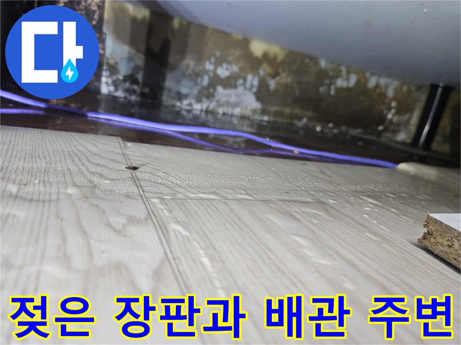 물기로-젖어있는-바닥-장판-면적