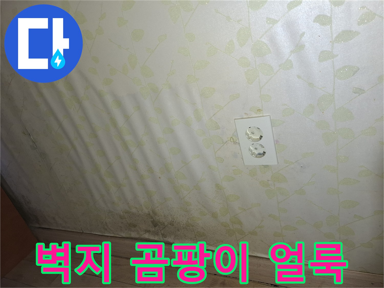 벽지 하단부에 발생한 곰팡이와 습기 흔적